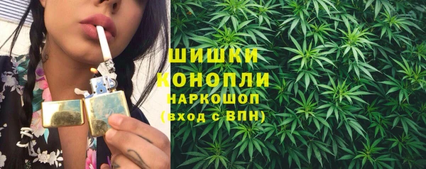 ПСИЛОЦИБИНОВЫЕ ГРИБЫ Лихославль