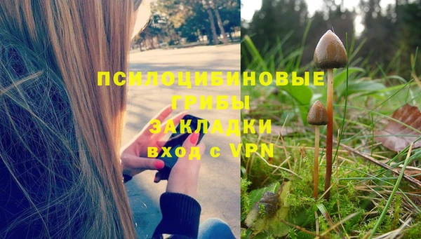 ПСИЛОЦИБИНОВЫЕ ГРИБЫ Лихославль