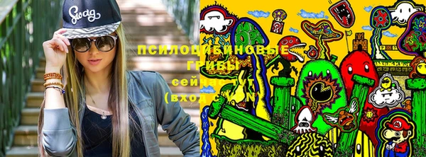 ПСИЛОЦИБИНОВЫЕ ГРИБЫ Лихославль