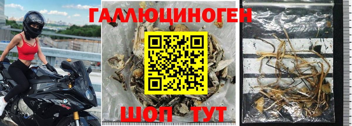 Псилоцибиновые грибы мицелий  где можно купить наркотик  Топки  Псилоцибиновые грибы мицелий 