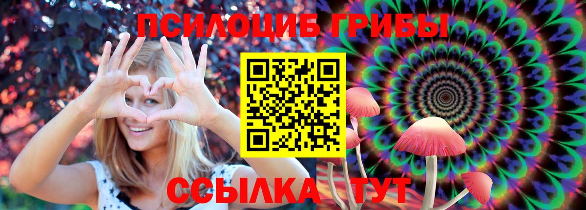 Псилоцибиновые грибы Cubensis Топки