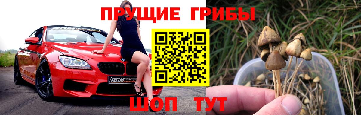 Псилоцибиновые грибы прущие грибы  Вход с VPN  Топки 
