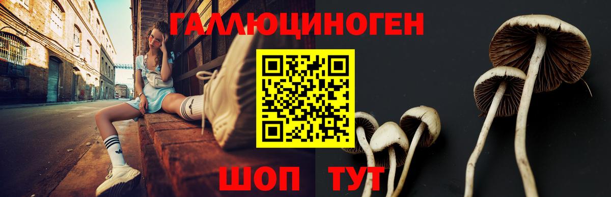 Псилоцибиновые грибы Psilocybine cubensis Топки