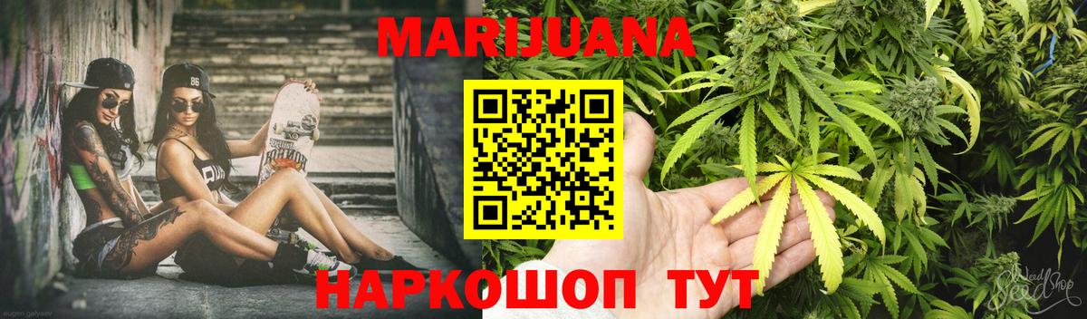 Марихуана сатива  Топки  Каннабис план 